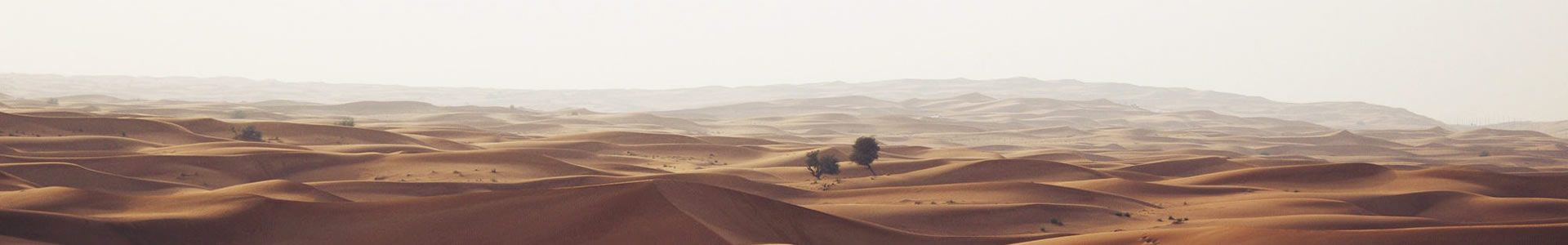 㽭˼ſƼ޹˾